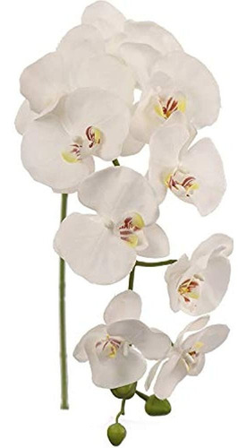 Tallos De Orquídeas Artificiales Blancas De Seda De Alondra,