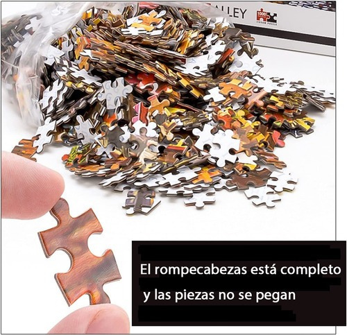 Rompecabezas De 70x50cm De Gato Y Libros, 1000 Piezas