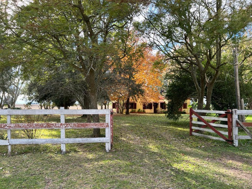 Imagen 1 de 26 de 100 Has En Punta Indio - Excelente Acceso - Ideal Haras!