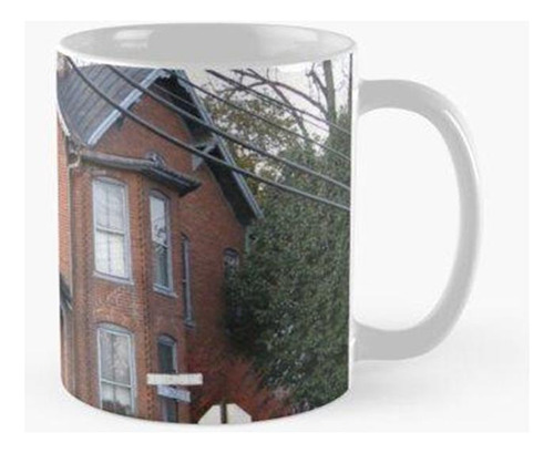 Taza Casa Señorial Calidad Premium