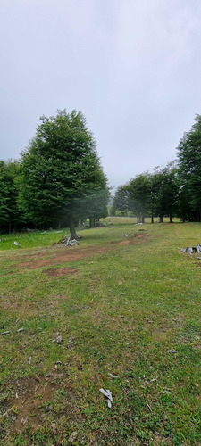 Sector Cerro Galera, Coyhaique (71829)