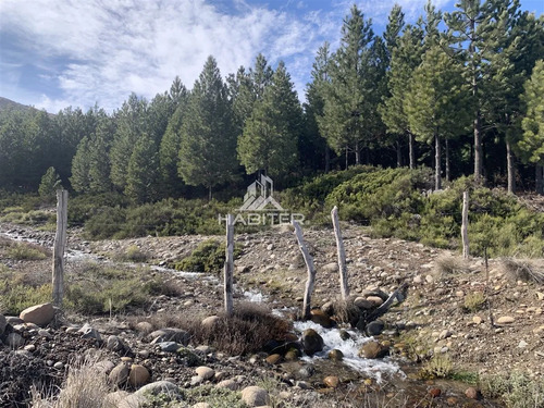 Cod36830 Agrícola En Venta En Liucura, Forestal 213 Ha
