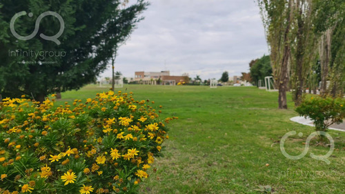 Venta De Terreno En La Alameda