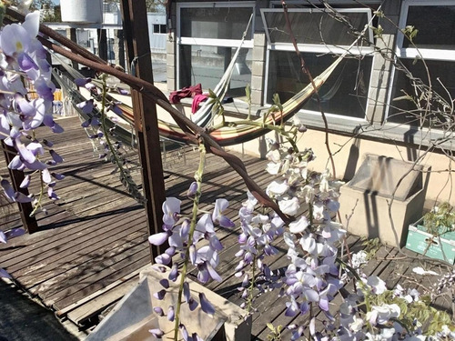 Imagen 29 de 30 de Oportunidad! Bellísimo Ph 5 Amb Con Terraza Propia En Patern