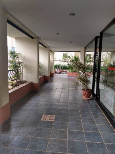 Apartamento - Venda - Jardim Bela Vista - Santo Andre - Pr1945