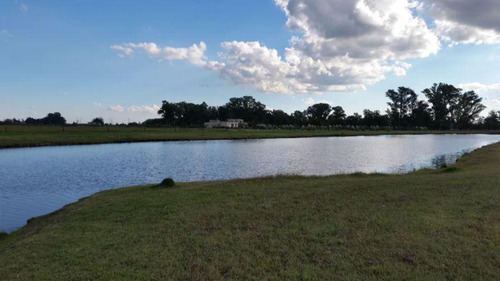 Campo Venta - 1,2 Hectáreas - Chacras De La Trinidad