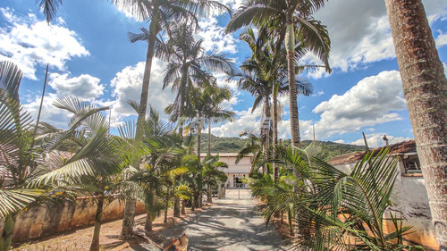 Imagem 24 de 24 de Linda Casa Com Piscina E Com Uma Vasta Área Verde, No Progresso!! - 3052321v
