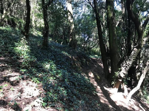Imagen 3 de 6 de Terreno En Venta, Cuajimalpa De Morelos, Ciudad De México