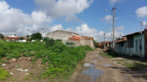 Imagem 8 de 11 de Terreno Localizado(a) No Bairro Parque Lagoa Subae Em Feira De Santana / Feira De Santana - 4613