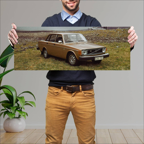 Cuadro 30x80cm Auto 1973 Volvo 144 Gl Auto 31