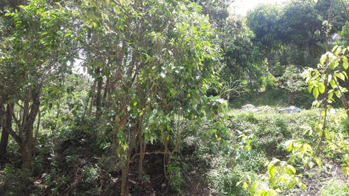 Imagem 16 de 21 de Terreno Em Parque Rizzo Ii, Cotia/sp De 1380m² À Venda Por R$ 160.000,00 - Te463143-s