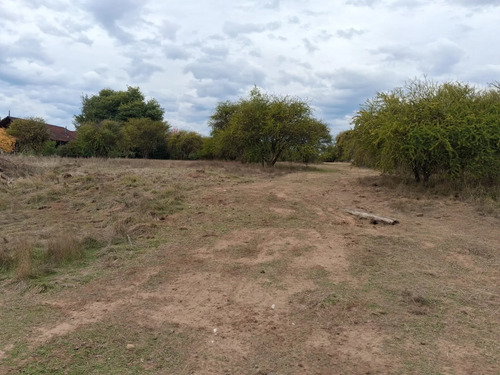 Oferta Parcela 5.000 Mt2, Talca (pencahue) Agua Y Luz