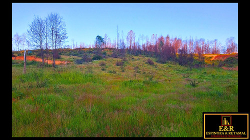 Terreno Sector Las Arenitas , Santa Juana (67674)