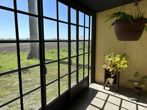 Chacra 5 Has, Colonia