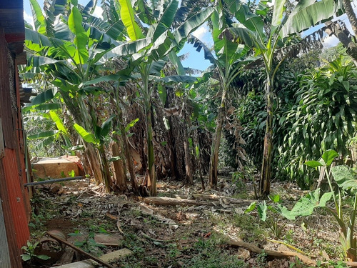 Imagen 8 de 14 de Se Vende Terreno Con 2 Apartamentos