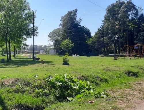 Lote En Venta En Virrey Del Pino