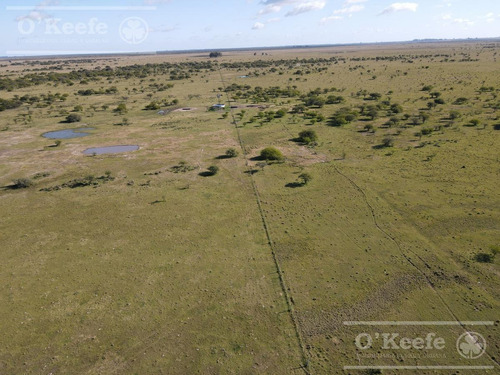 Imagen 5 de 27 de Campo De 600 Has En Venta En Gualeguaychu - Muy Buen Campo Ganadero De 0,7 Ev/ha Con Casco