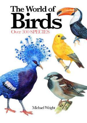 Libro The World Of Birds