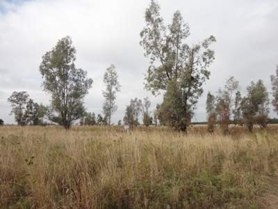 Imagen 17 de 23 de Venta Lote Malvinas Argentinas Dpto Colon- 3 Has Apto Loteo-escritura