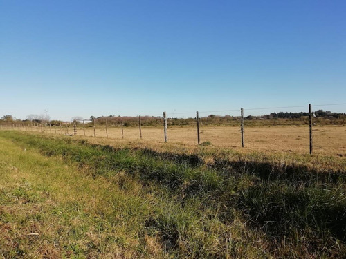 Imagen 13 de 13 de Campo 5ha - Con Pequeña Construcción - Capitan Sarmiento -