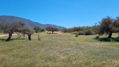 Sitio 16 En Proyecto Parque Quebrada Catapilco