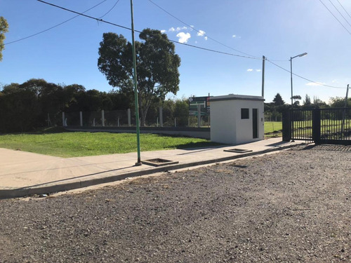 Imagen 6 de 8 de Terreno - La Plata