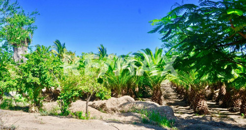 The Crown Jewel At Las Animas, San Jose Del Cabo, Mls #23-131