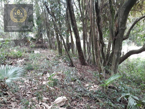 Imagem 10 de 12 de Terreno À Venda, 3283 M² Por R$ 160.000,00 - Planalto - Viamão/rs - Te0143