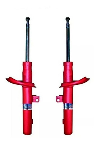 Kit 2 Amortiguadores  Zx Delanteros 1998-2001