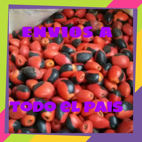 Semillas Huayruro , 120 Microcentro