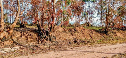 Imagem 4 de 15 de Terreno A Venda No Bairro Loteamento Colinas Verdes - Atibaia, Sp - 328