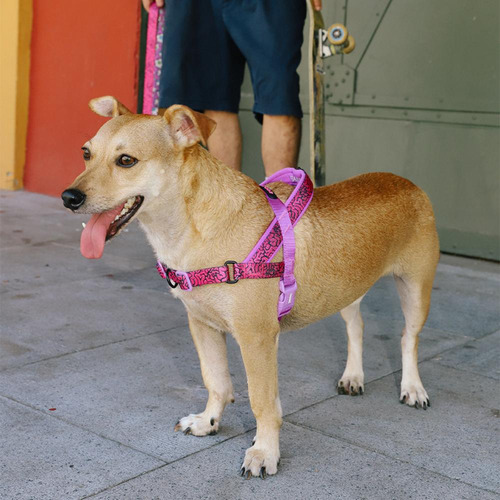 Peitoral Antipuxão Para Cachorros Softerwalk Lozt Zeedog Cor Brain M