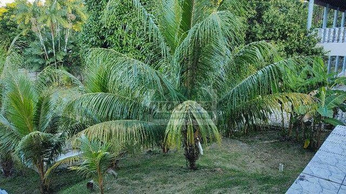 Imagem 6 de 17 de Belíssima Casa Estilo Chácara Com 6 Quartos À Venda, 1000 M² Por R$ 1.500.000 - Colônia Santo Antônio - Manaus/am - Ca4390