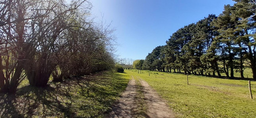 Fraccion De 8.1000 M² Parquizada Y Forestada