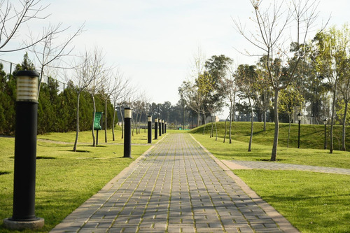 Imagen 24 de 29 de Lote Perimetral #100-200 - Pilar Del Este - Santa Sofia - 525m2 #id 24918