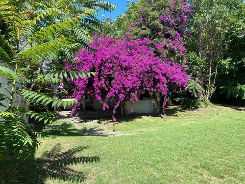 Imagen 20 de 28 de Casa Divina A Dos Cuadras Del Mar Punta Del Este