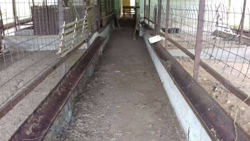 Imagen 10 de 14 de Venta Finca 67 Hectáreas Nigua Yaracuy Oportunidad Cod. 8973
