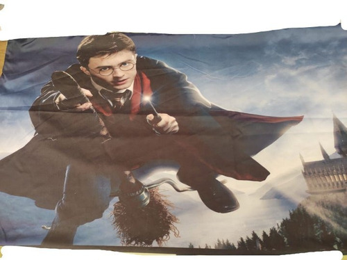 Almohada 2 Vistas Jumbo Harry Potter - 120 X 50 Cm 