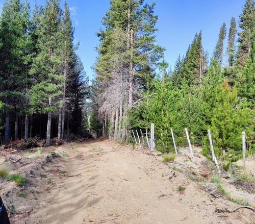 Imagen 4 de 4 de Terreno En Venta Ñirihuau - Bariloche