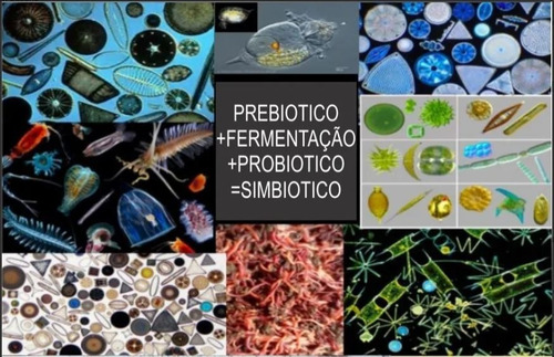 Imagem 3 de 3 de Mix Simbiótico 8 Kilos