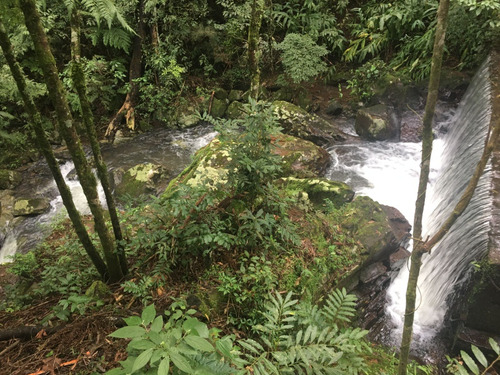 Chacara Em São Francisco De Paula 