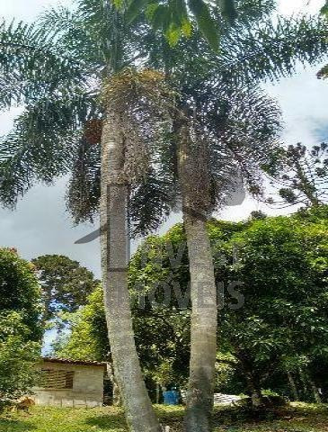 Imagem 5 de 8 de Cód 2618 - Lindo Sitio Com 48.000 M2 - 2618