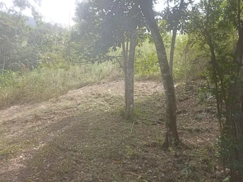 Lote Villeta