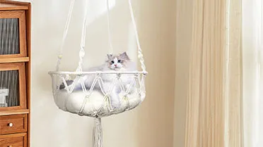 Cama Hamaca Gato Bohemia Colgante Ventan