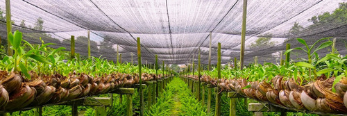 Tela Sombrite Com Prendedores 50% Preta - 10m X 16m