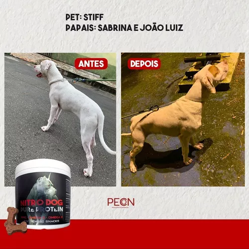 Suplemento Forte Cachorro Pet Pequenas Raças Mega Brother