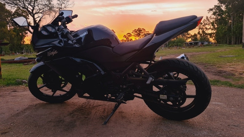 Imagen 9 de 13 de Kawasaki R250