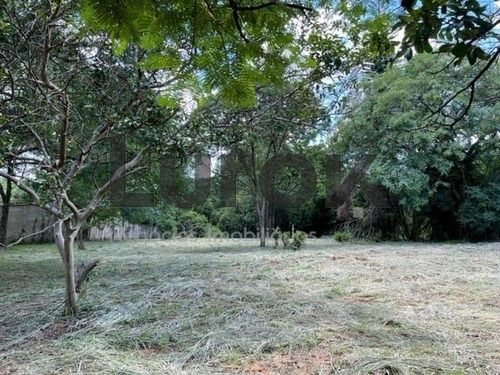 Imagem 6 de 10 de Terreno À Venda Em Vale Verde - Te006031