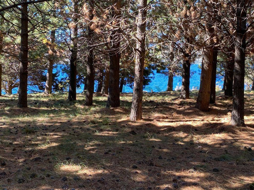 Lote Venta Lago Huechulafquen, San Martin De Los Andes. Loteo Quillehue