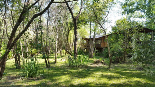 Imagen 28 de 30 de Lote Al Rio Cabaña En Delta Tigre